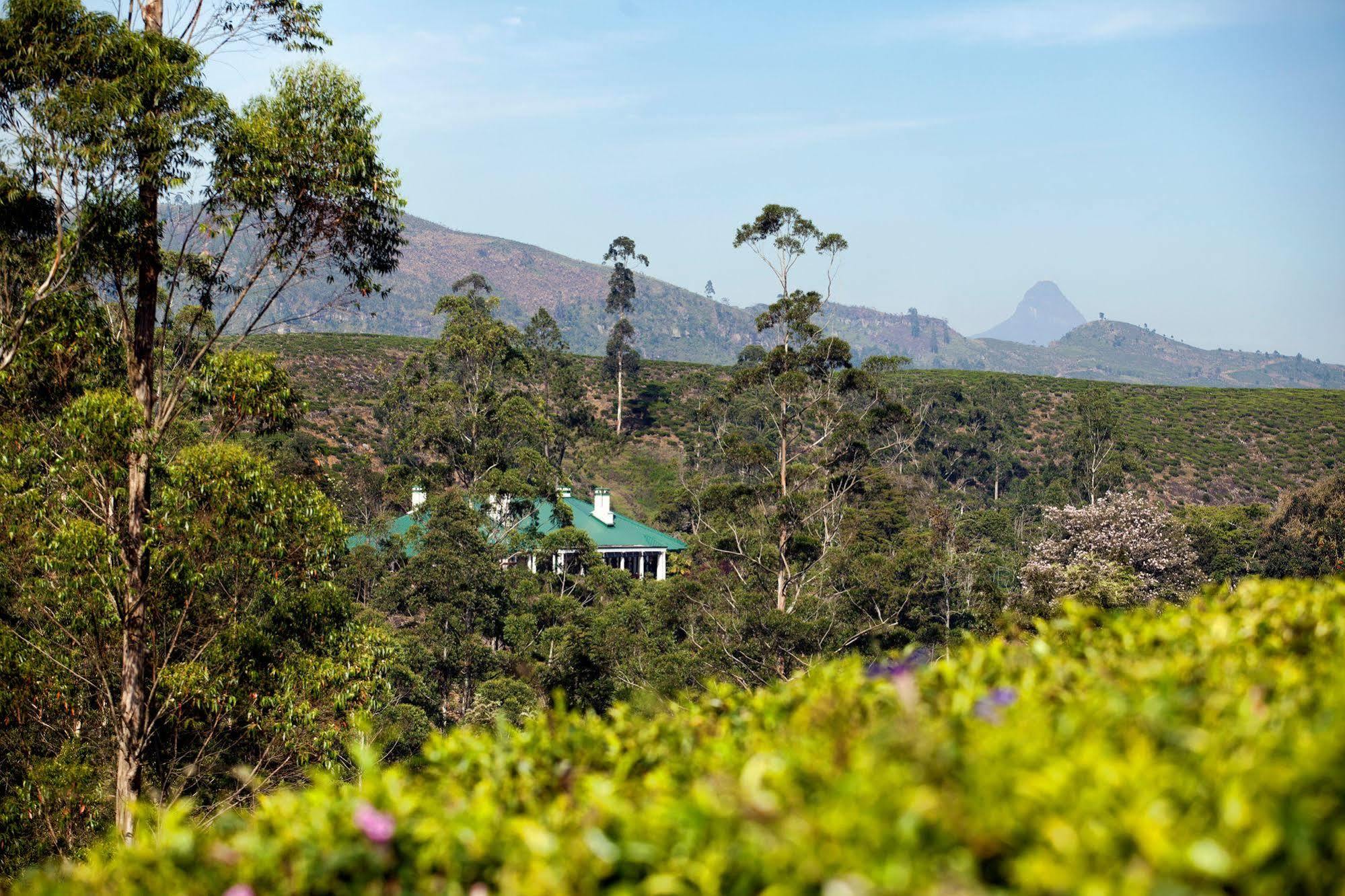 Hotel Ceylon Tea Trails Norwood Exterior foto